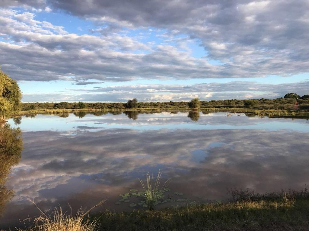A river winding through African bushveld