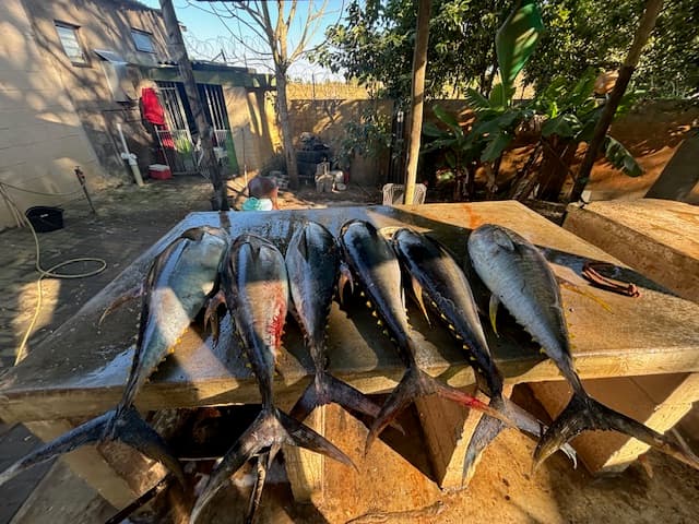 Full Day Offshore Expedition — photo 3