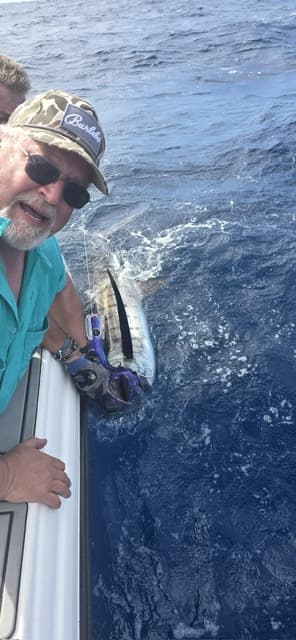 Full Day Offshore Expedition — photo 6