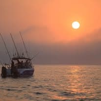 Full Day Offshore Expedition — photo 9
