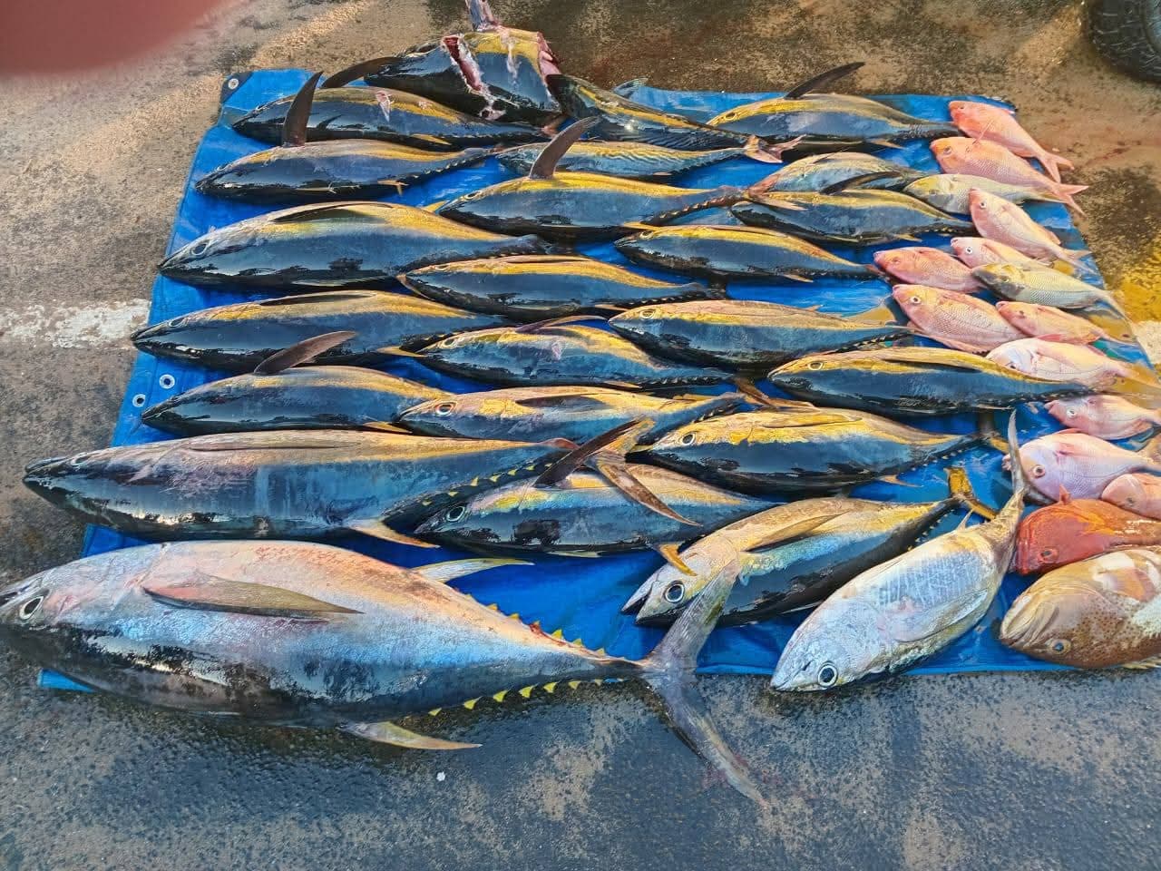 Sensational Varuna Day Charter — photo 2