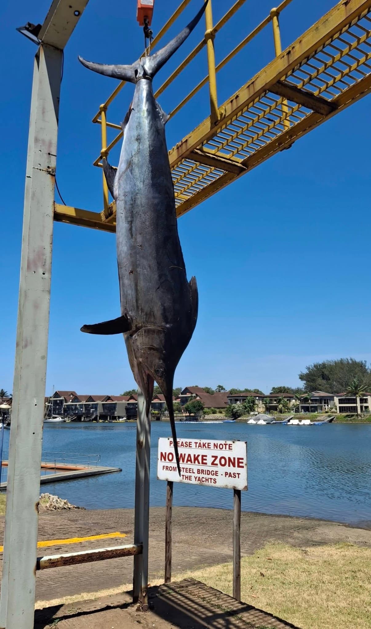 Richards Bay Full-Day Game Fishing Charter — photo 12