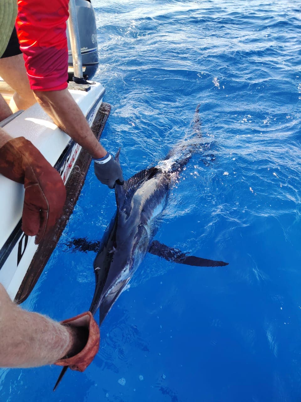 Mrs Seevarkie 4-Hour Deep Sea Fishing Charter – Sodwana Bay — photo 20
