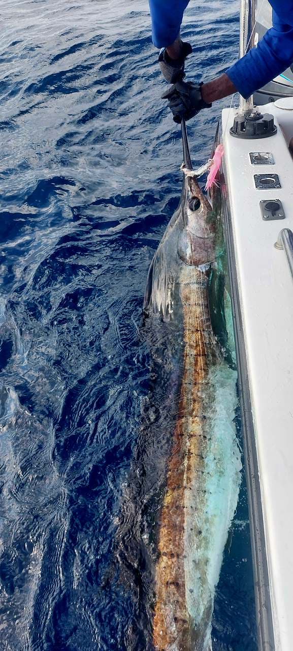 Billfish & Marlin Fishing Charter – Ponta do Ouro, Mozambique — photo 13